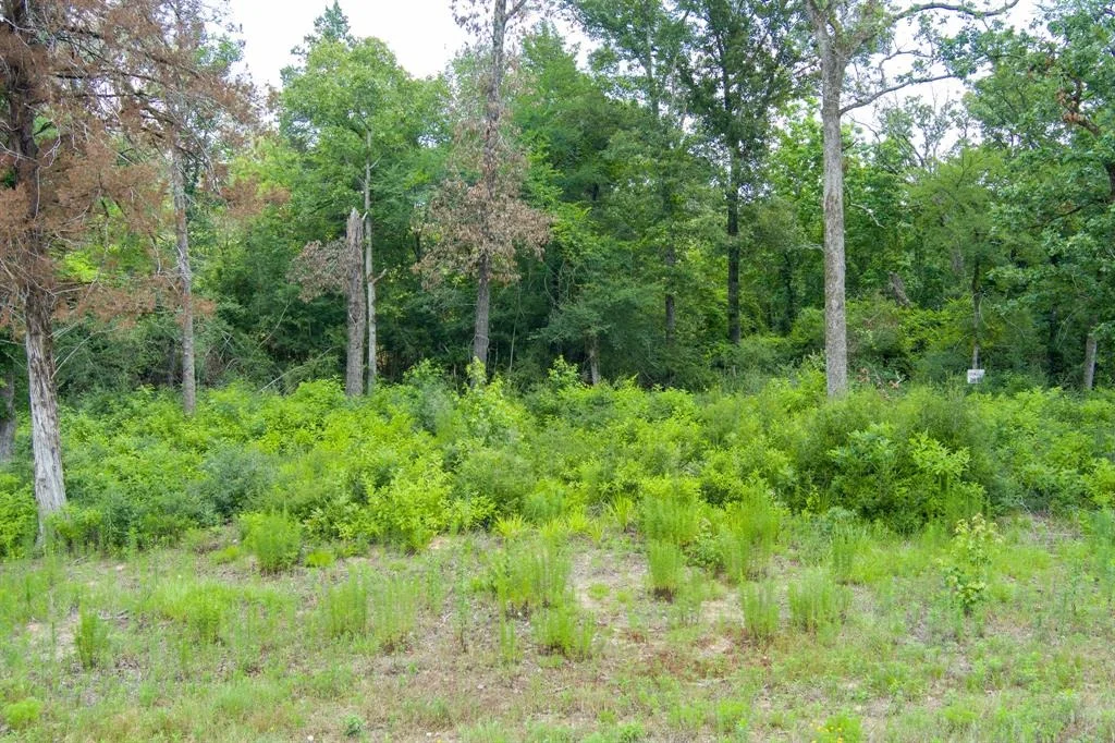 Photo of 6837 Private Road 1280