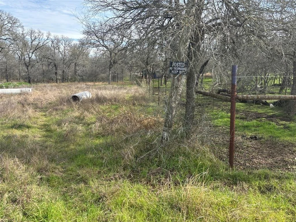 Photo of 245 Elm Forest Loop