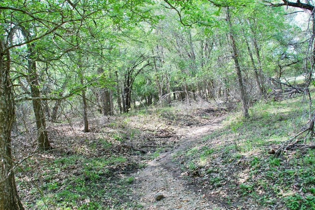 Photo of 1801 County Road 381