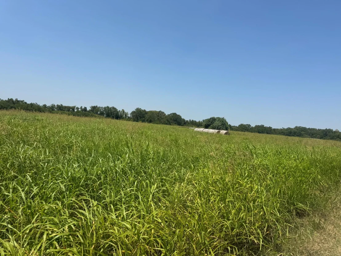 Photo of TBD County Road 230