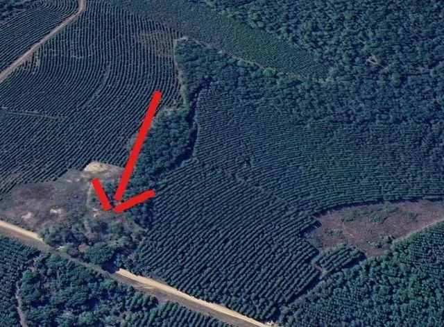 Photo of 950 Tram Road