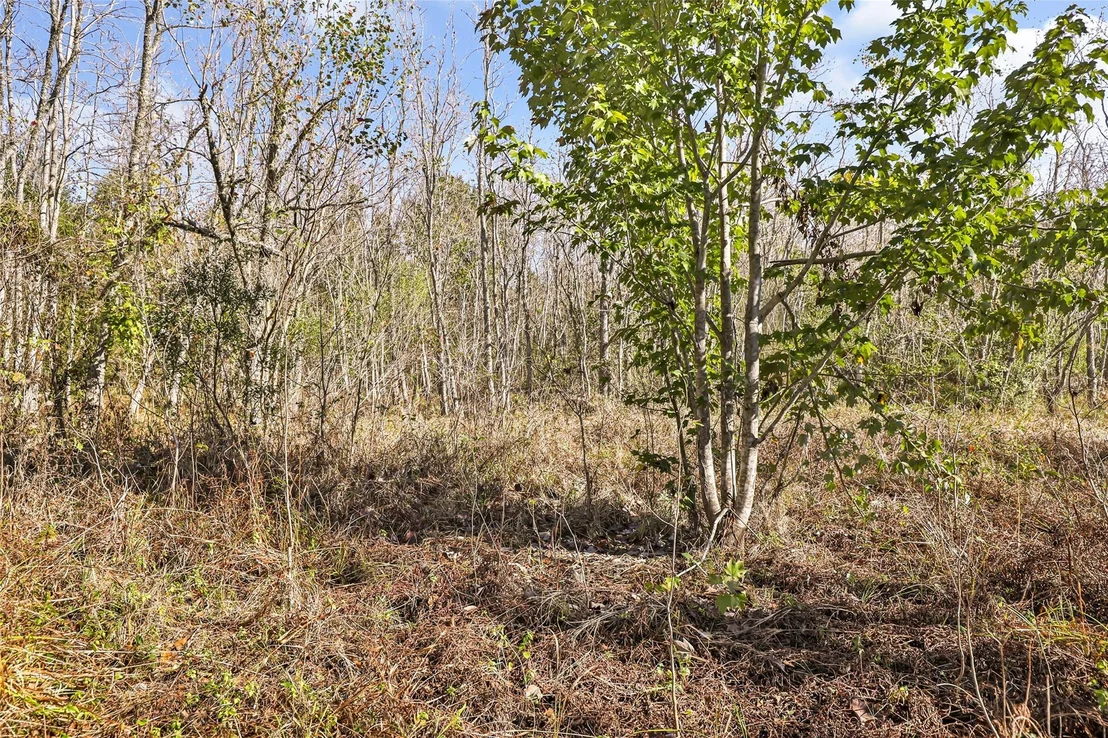 Photo of 576 County Road 614