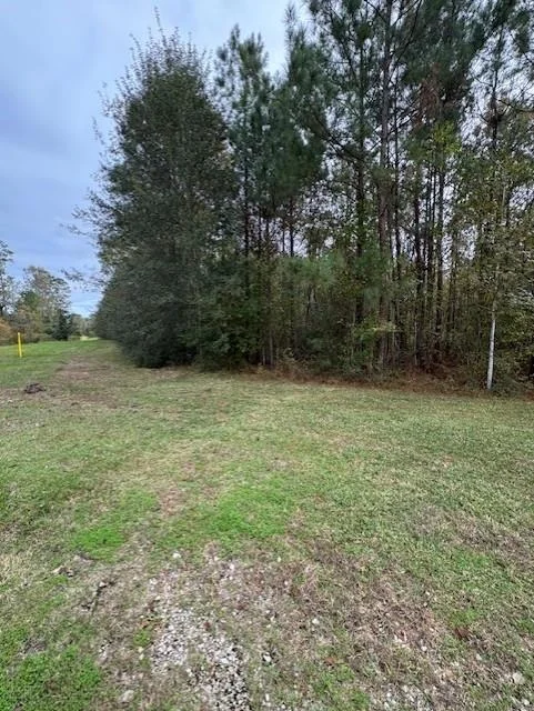 Photo of 2110 Roman Forest Boulevard
