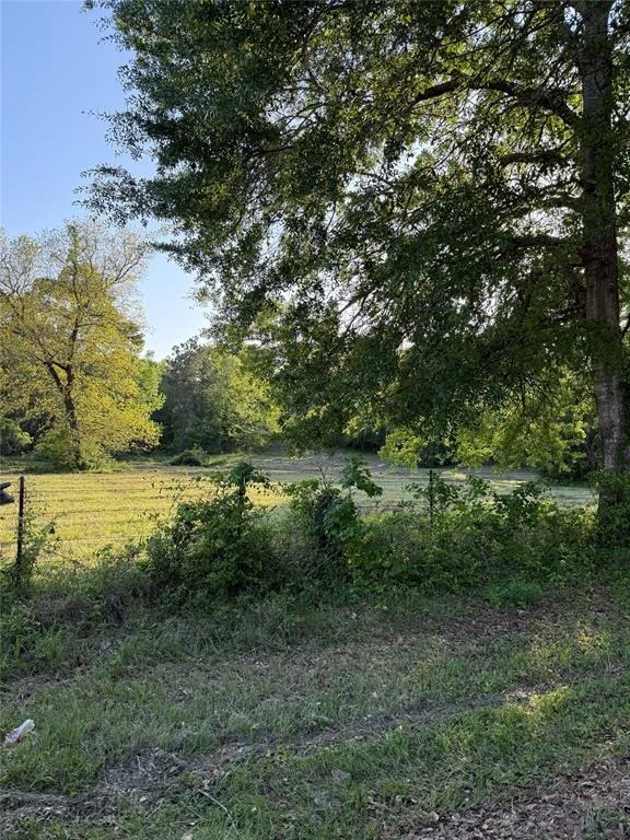 Photo of 00 Faulkner Street