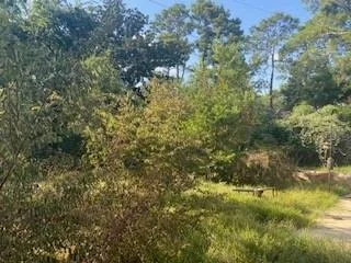 Photo of 19 Rocky Lane