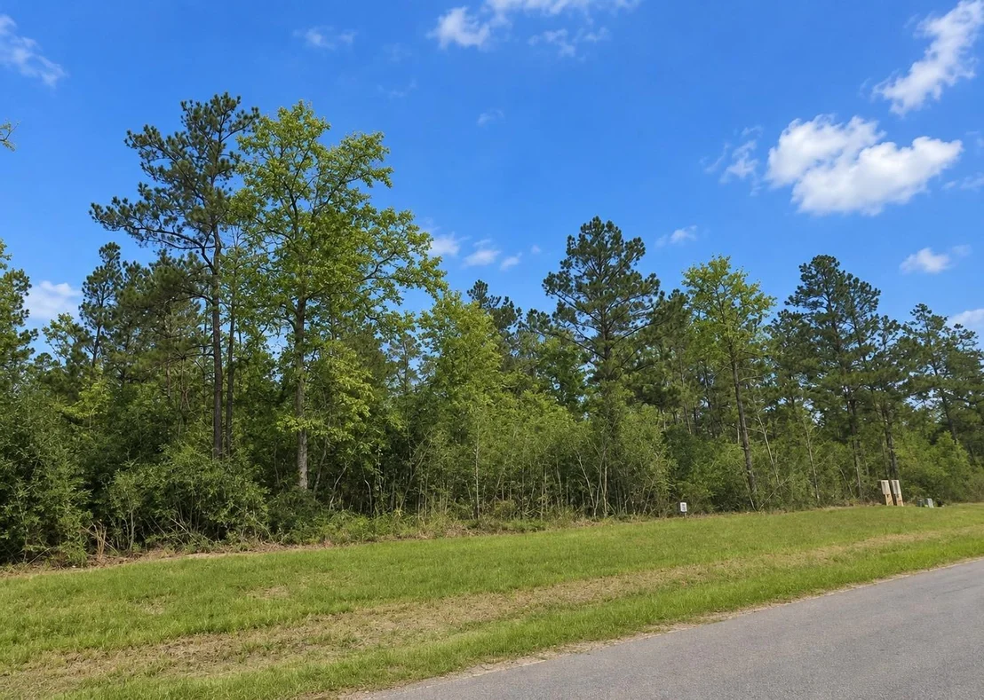 Photo of 377 Exploration Road