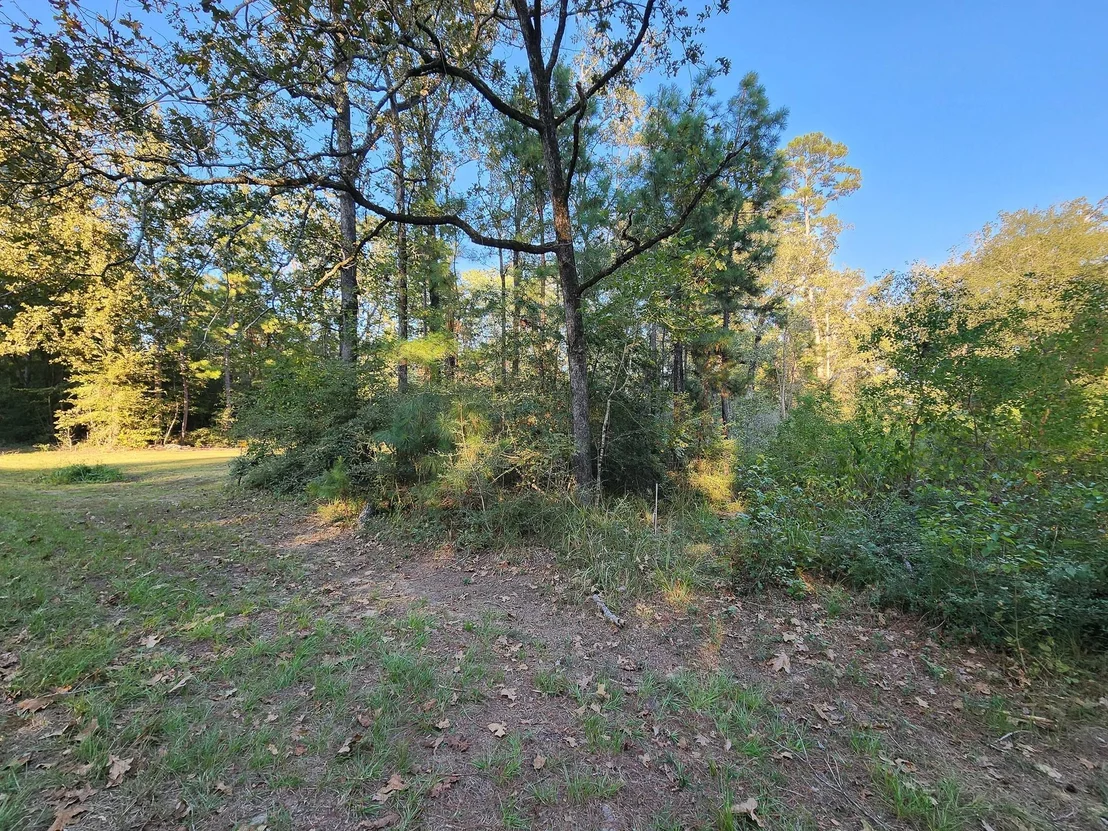 Photo of 0 Hackberry Drive