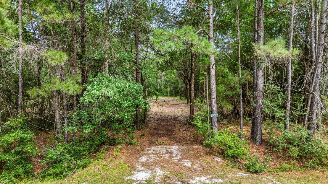 Photo of 26020 Pine Shadows Drive