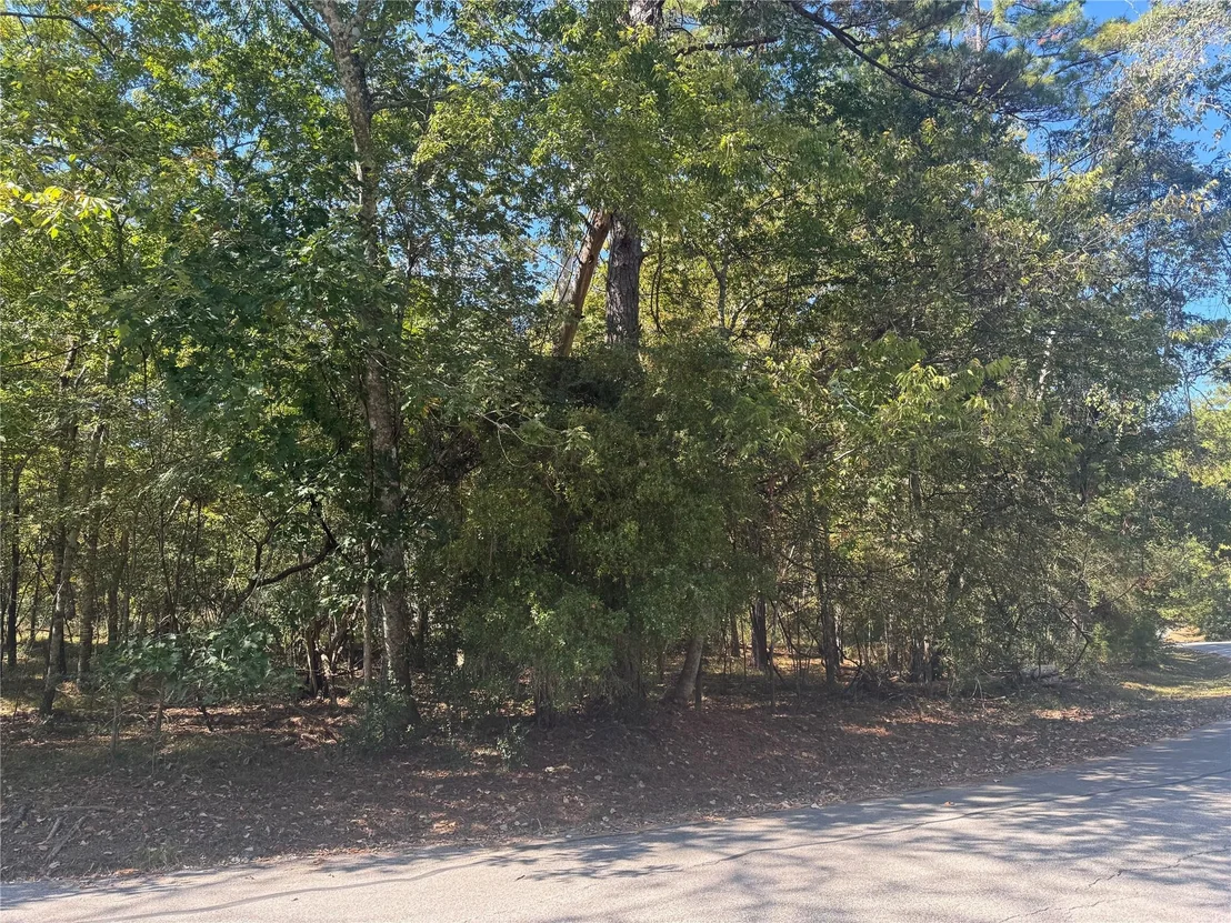 Photo of 176 N Fairway Loop