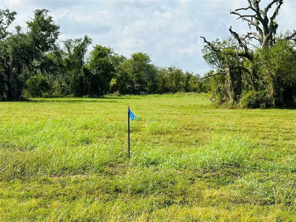 Photo of 274 Pony Trail