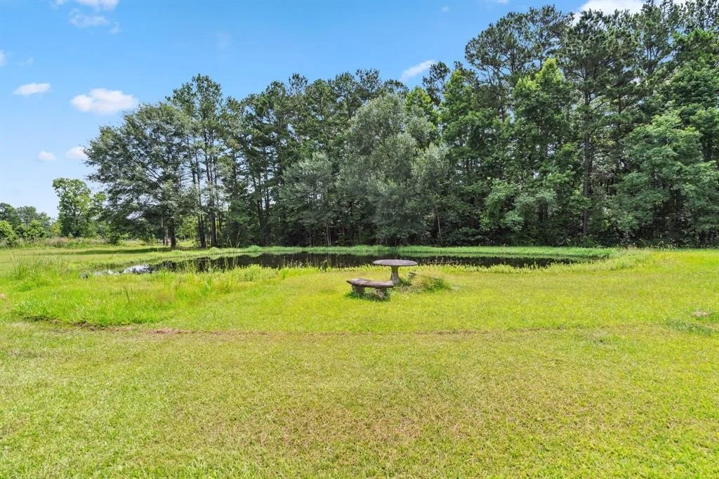 Photo of 113 County Road 2229