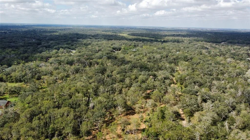 Photo of 0 Live Oak Drive