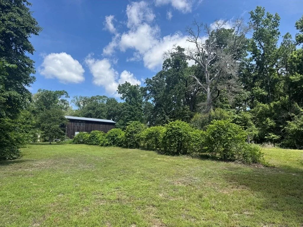 Photo of 164 County Road 2127