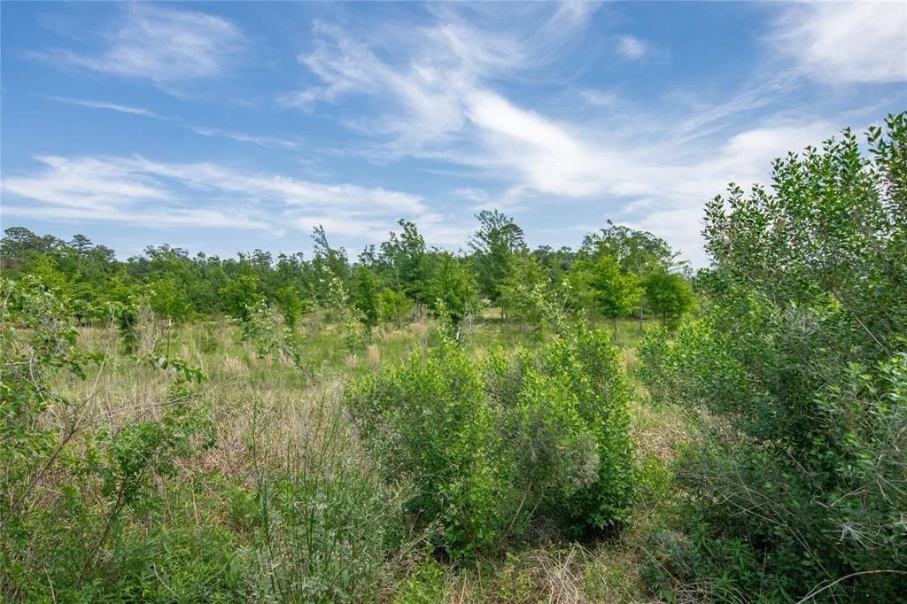 Photo of 22214 Orchard Dale Drive