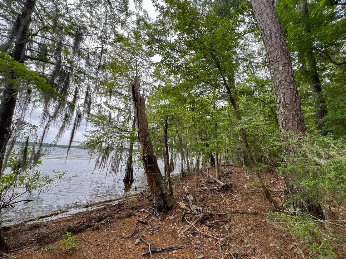 Photo of 4.5 Arledge Trail/Off Gateway Meadows