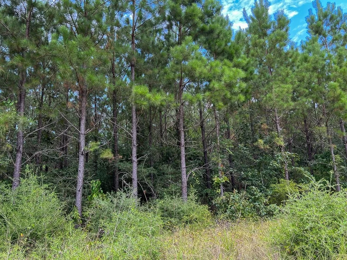 Photo of 30 Meshell Road