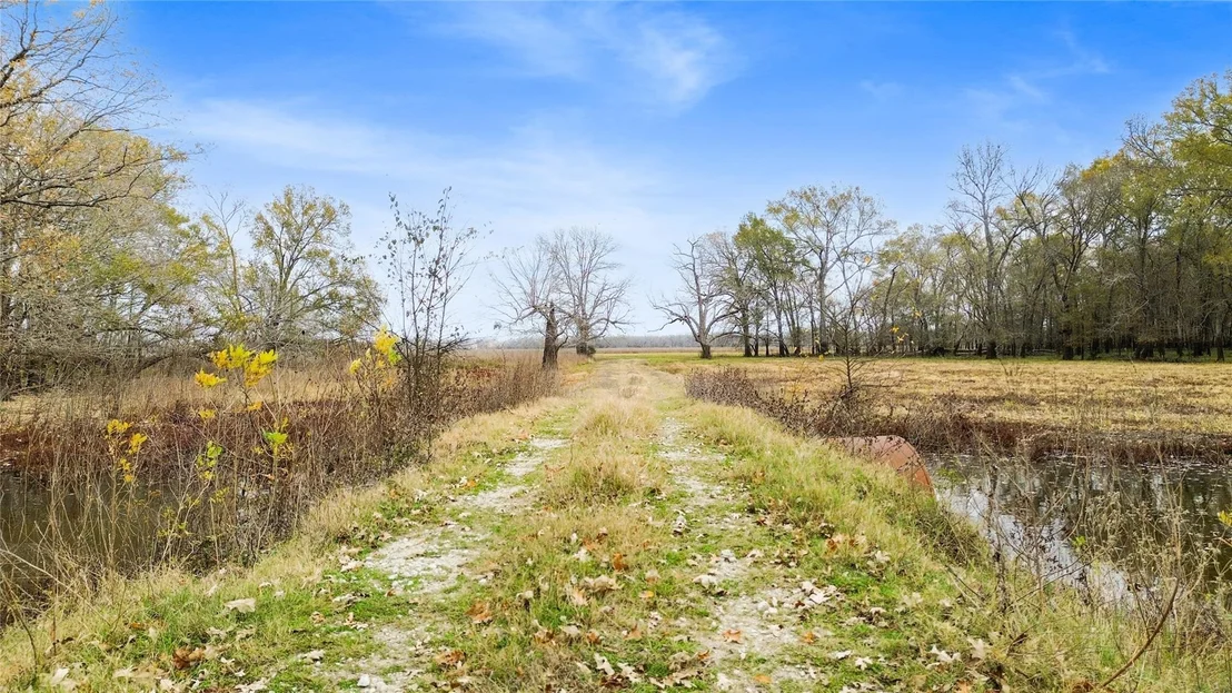 Photo of TBD Pr 1350
