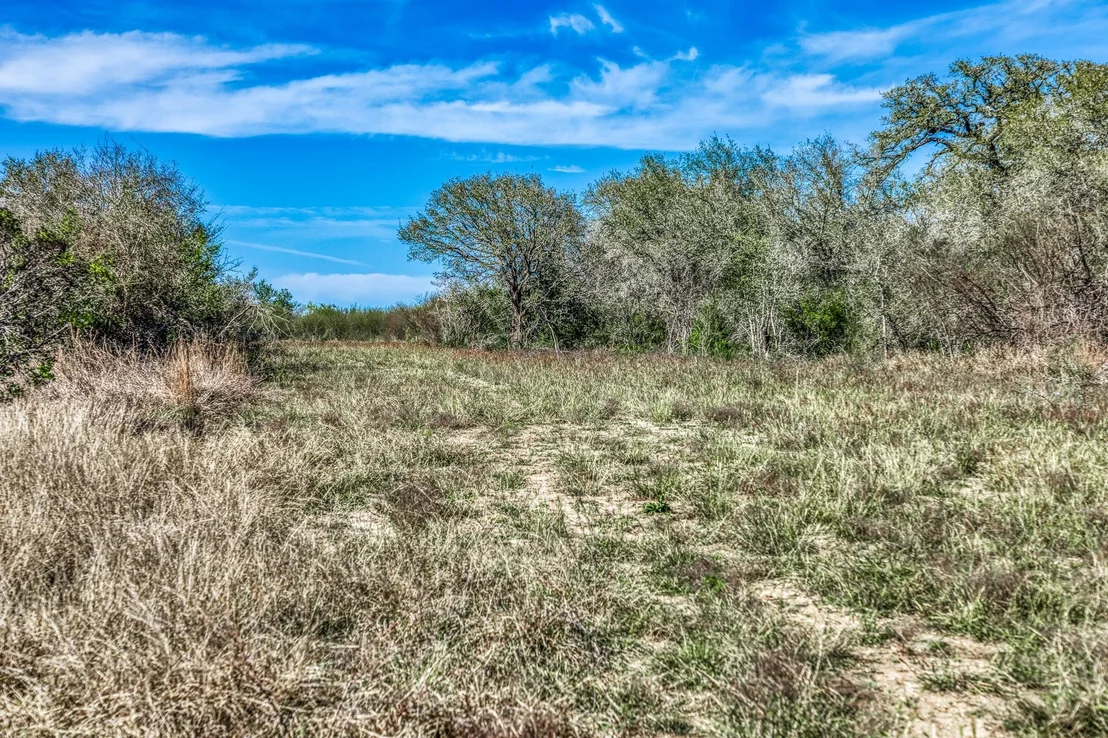 Photo of 687 County Road 340