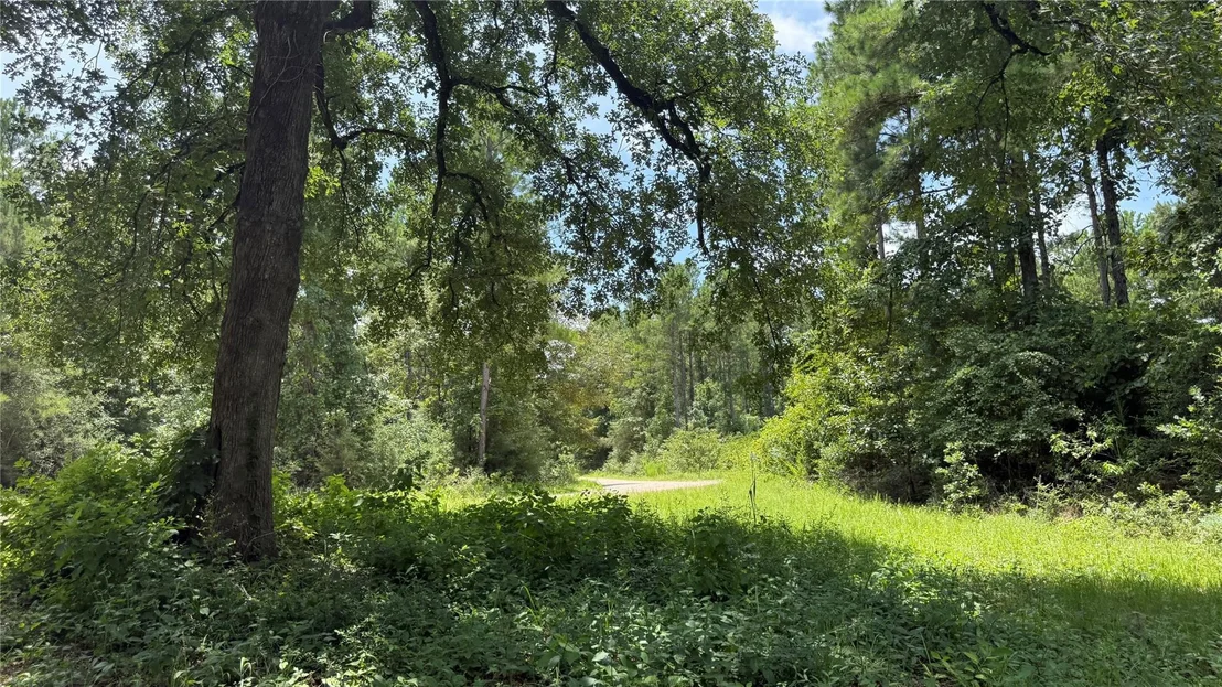 Photo of 422 County Road 4088