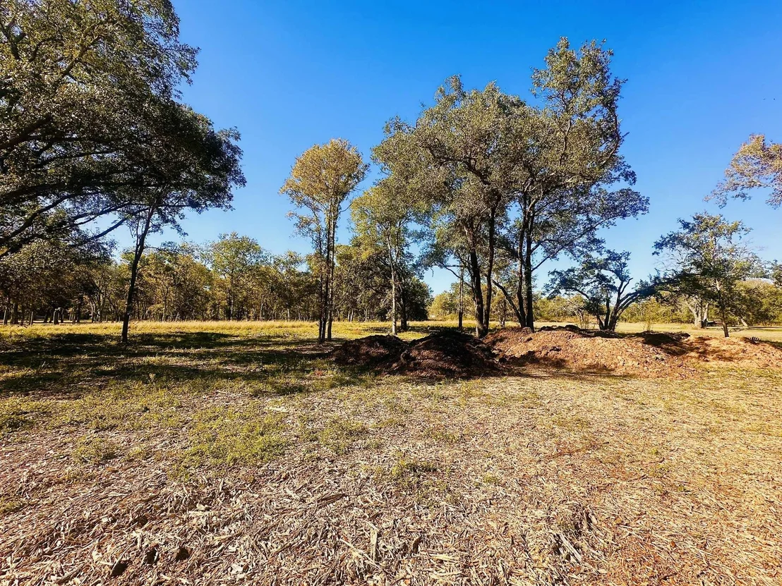 Photo of 32002 Amberjack Drive