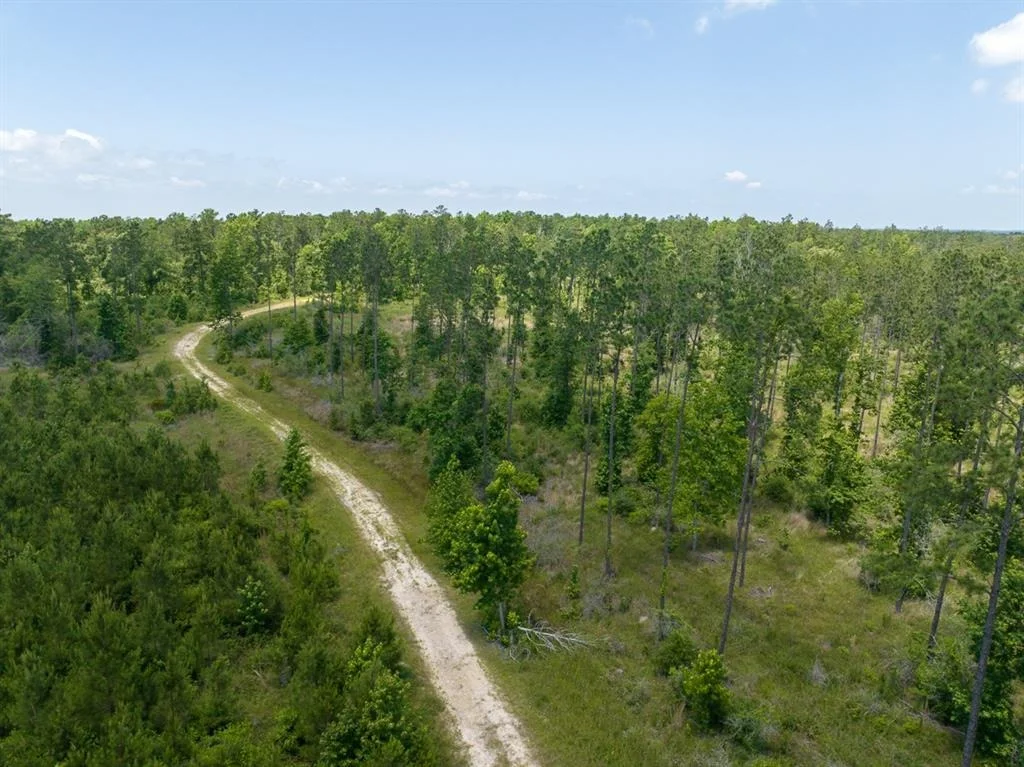 Photo of TBD Fm 355