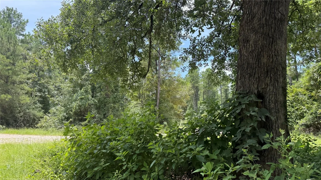 Photo of 422 County Road 4088