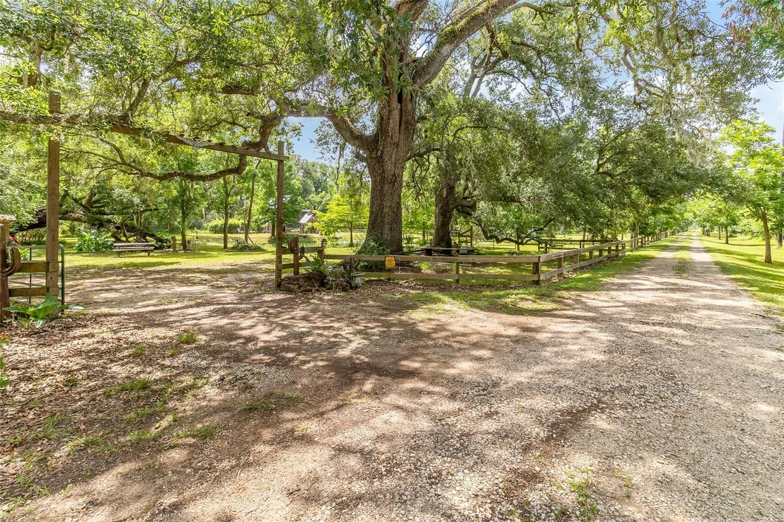 Photo of Off Cr 36