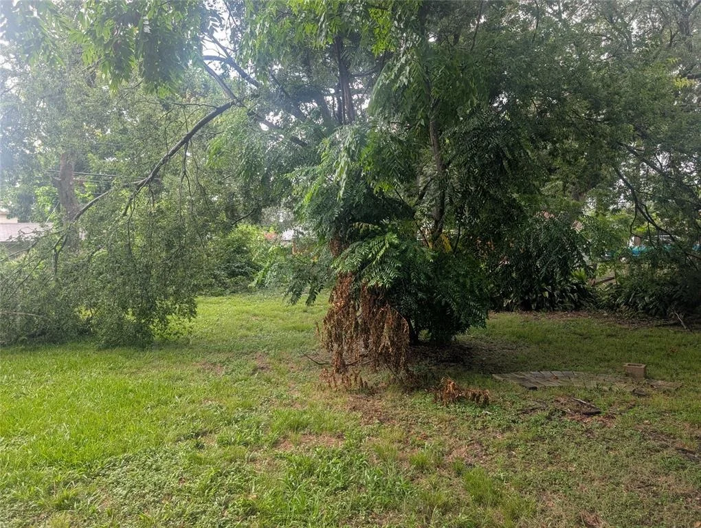 Photo of 8343 Bonner