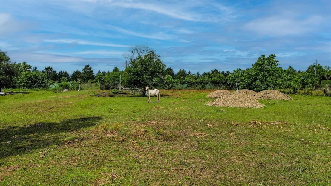 Photo of 124 County Road 621