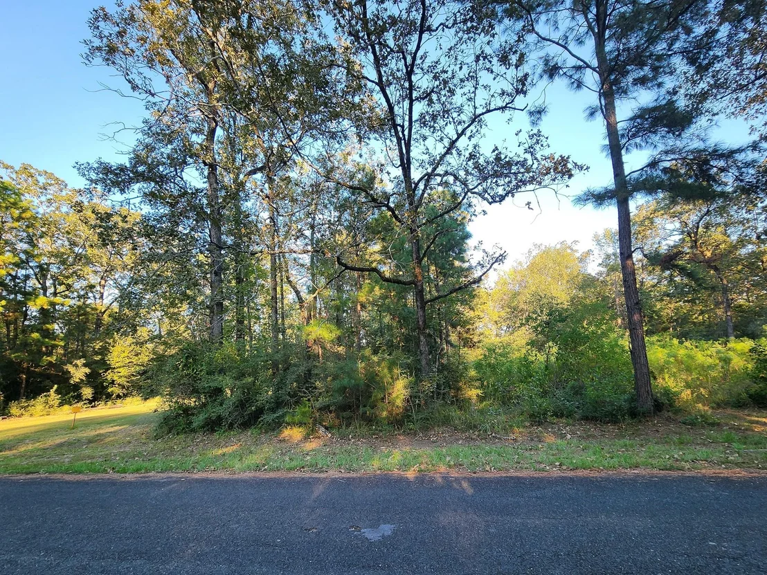 Photo of 0 Hackberry Drive