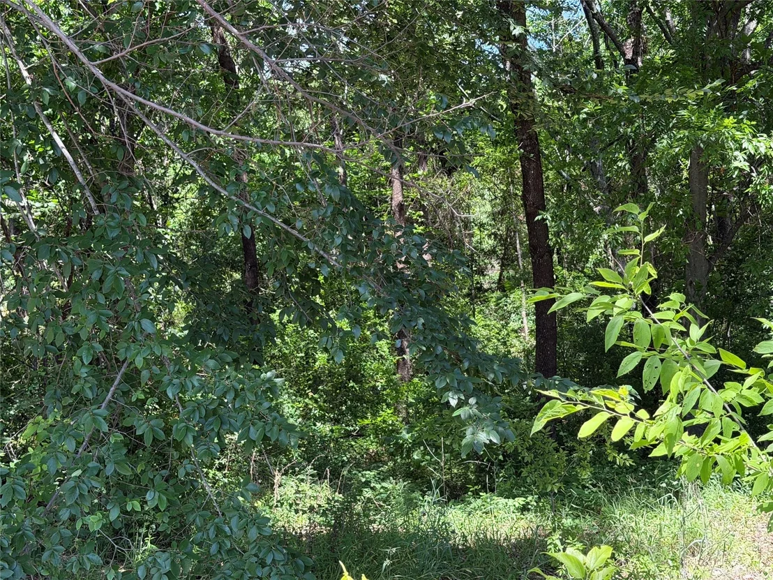 Photo of 1341 & 1343 Waikiki Trail