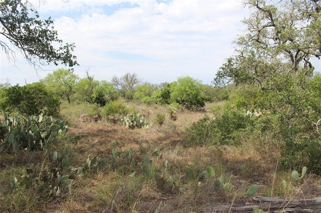 Photo of 000 Tx-29 Highway