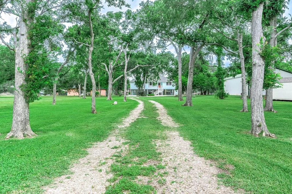 Photo of 383 County Road 296