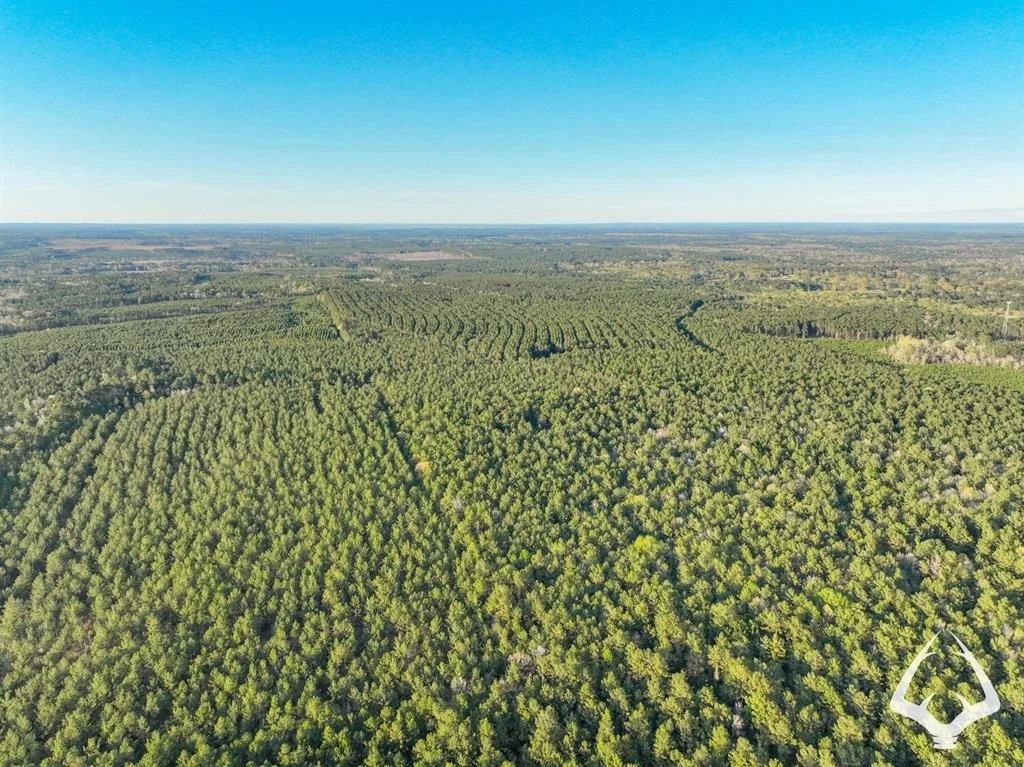 Photo of 850 County Road 4390