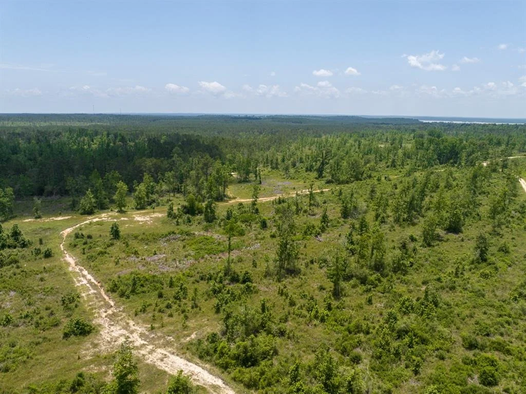 Photo of TBD Fm 355
