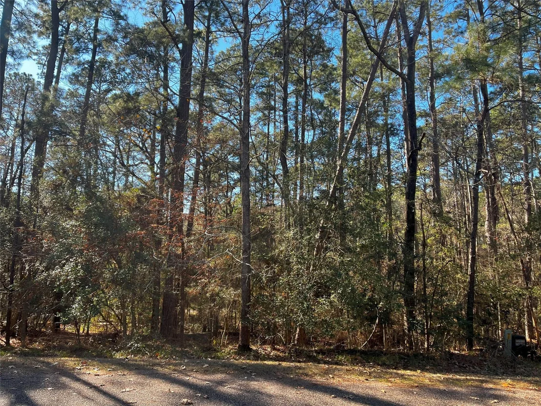 Photo of 61 Sunny Hill Drive