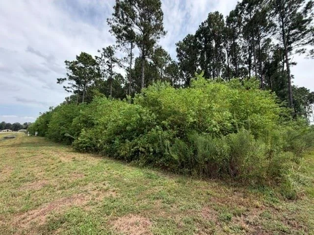 Photo of 161 County Road 6614