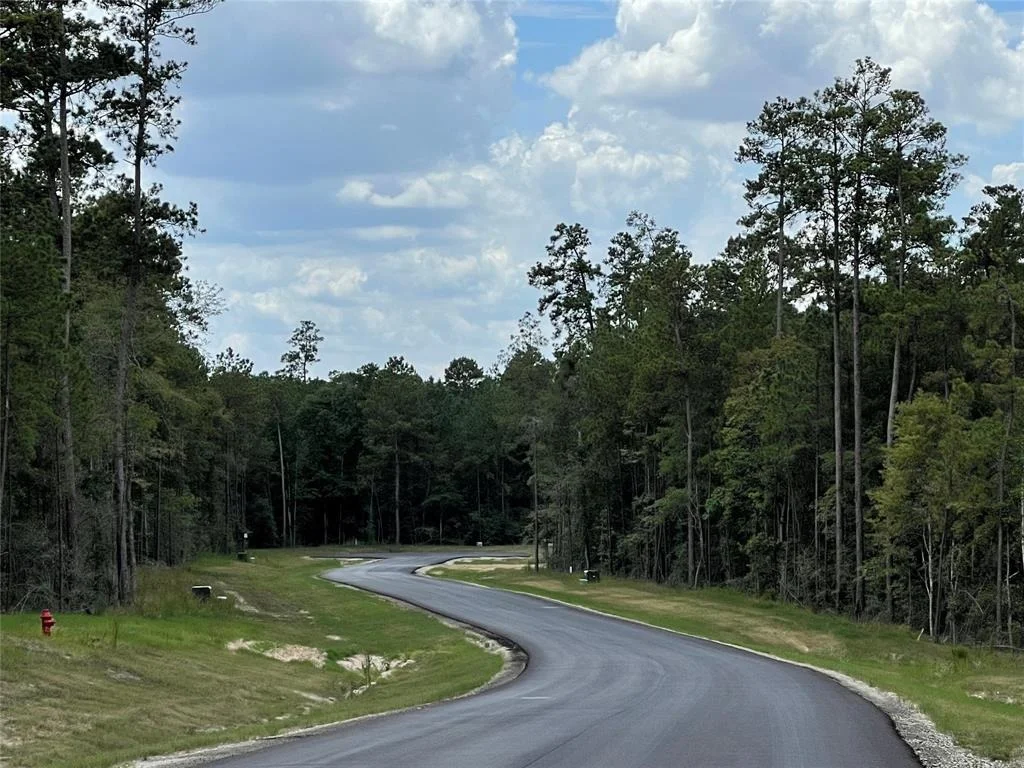 Photo of 11682 Grand North Road