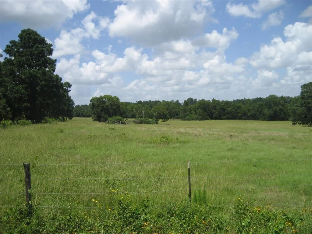 Photo of 00 Cr 2120