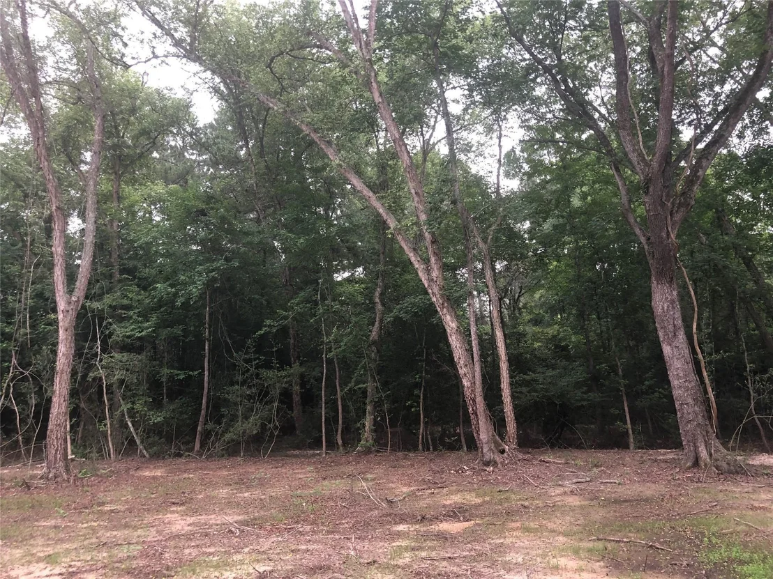 Photo of 1841 Pr 1315