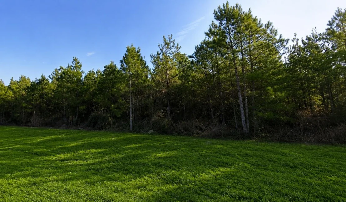 Photo of 11514 Inspiration Drive
