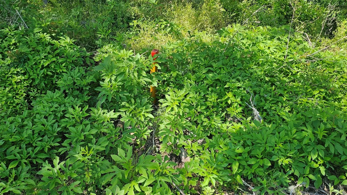Photo of 248 Middle Bayou Trail