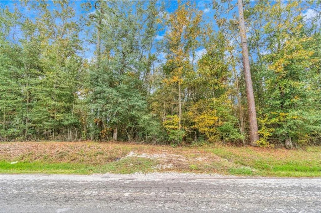 Photo of 2330 County Road 2252