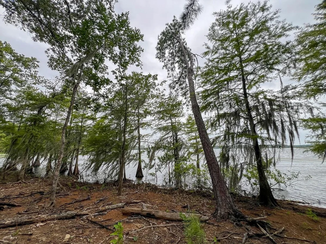 Photo of 4.5 Arledge Trail/Off Gateway Meadows