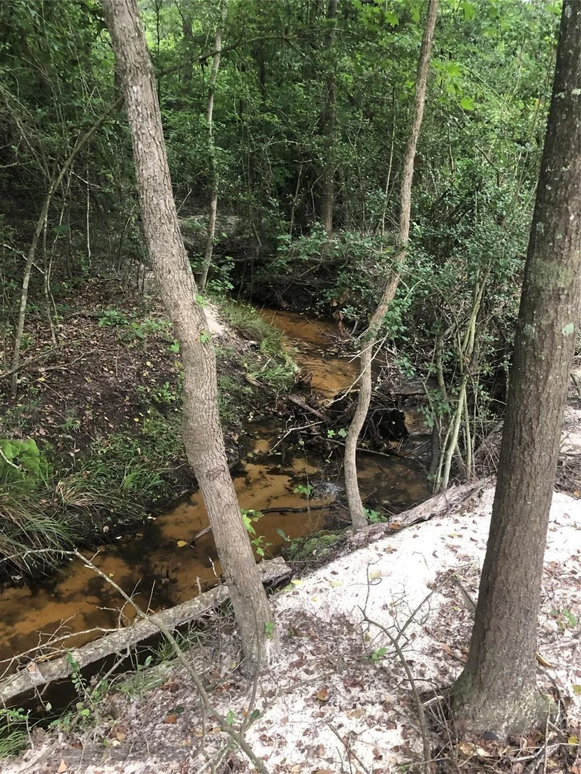 Photo of 1841 Pr 1315