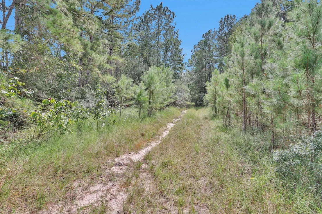 Photo of 11976 Highbranch Way