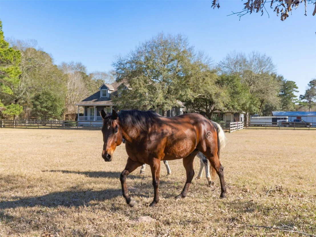 Photo of 36003 Post Oak Circle