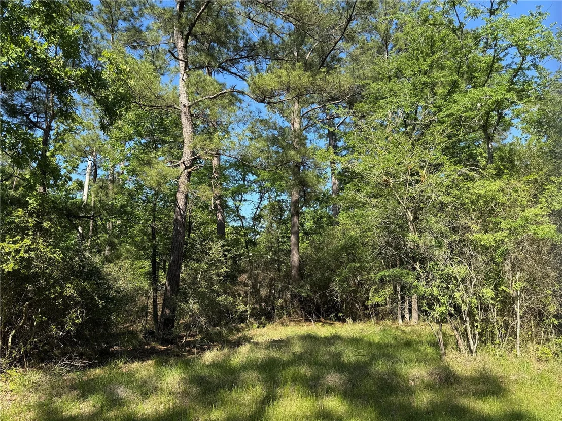 Photo of 15 Wood Harbor