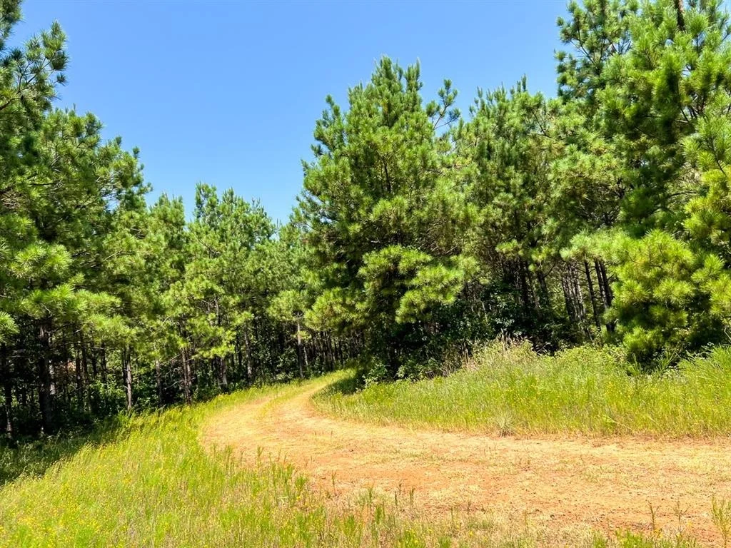 Photo of 05 Highway 49