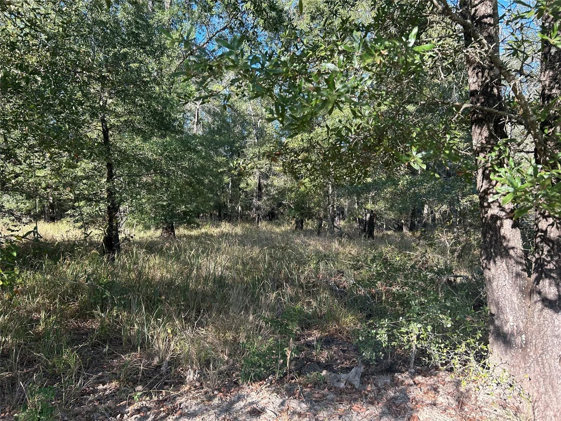 Photo of Tract 35 Fm 230